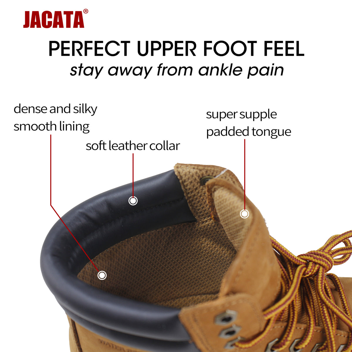 Jacata 6502